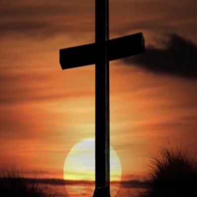 InHimIITrust's profile picture. 