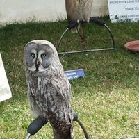 Cate (@catejj) 's Twitter Profile
