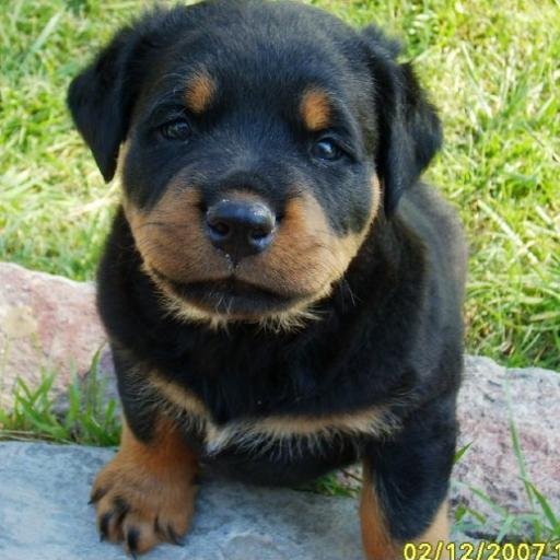 Maritalockhart's profile picture. 