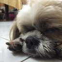 Danny Wong - @danny_wonglh - Twitter