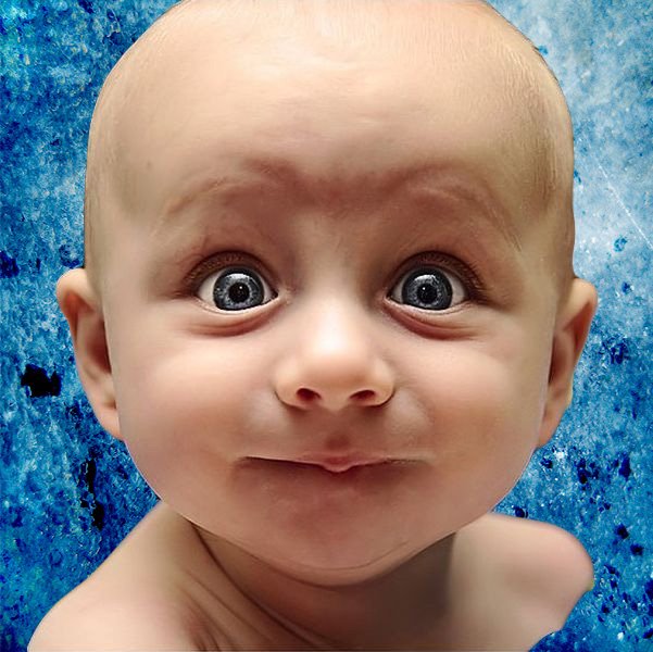 InsoliteEtDrole's profile picture. Régale toi d'infos plus insolite que drole, et n'hésite pas a partager la page :)