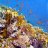 Agand2310's profile image