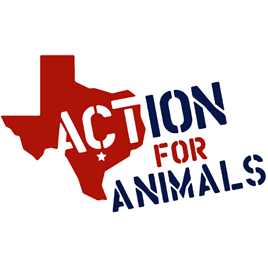 Action For Animals is a grassroots group based in Austin, Texas. Our sole purpose is to defend and protect the rights and lives of non-human animals..