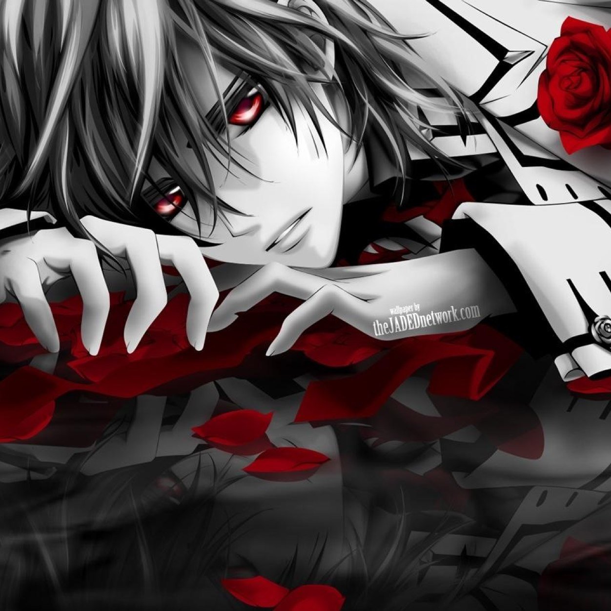 HiCaballison's profile picture. I follow back, #TeamKaitre