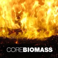 Suppliers of multi fuel biomass boilers. Hot Water, Steam, CHP