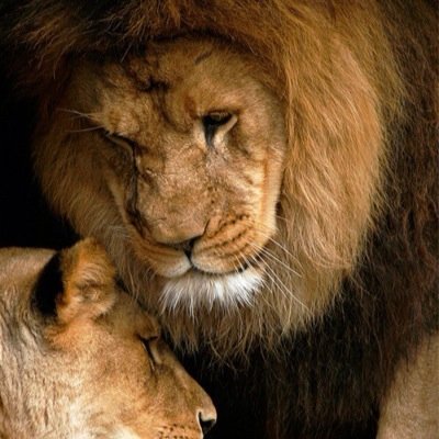 Fcojoa90's profile picture. Los Consejos Sin La Accion No Sirven De Nada!!!