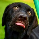 Adam Bilyea - @abilyea44 - Twitter