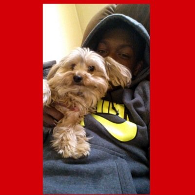 Lucas_almighty9's profile picture. Melvindale senior #1 reciever linebacker #22 point guard