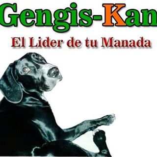 Gengis-Kan es una escuela de adiestramiento canino en la cual se instruye a sus dueños sobre el lenguaje de sus mascotas para así mejorar su comunicación
