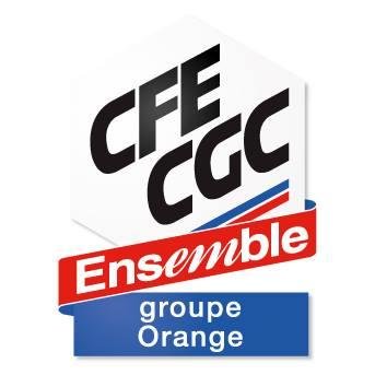 Le syndicat Cfe Cgc NRS