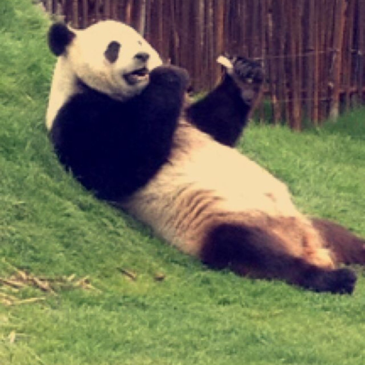 TheBoyBelieber7's profile picture. Jebsjandvsj