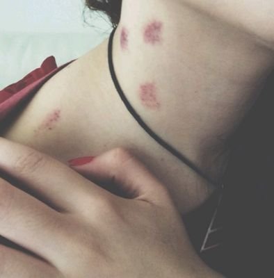 scegliersi's profile picture. C'è un filo logico e la gente c'inciampa