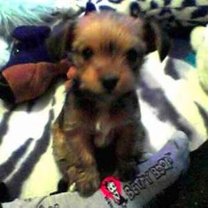 Peypey_A's profile picture. 