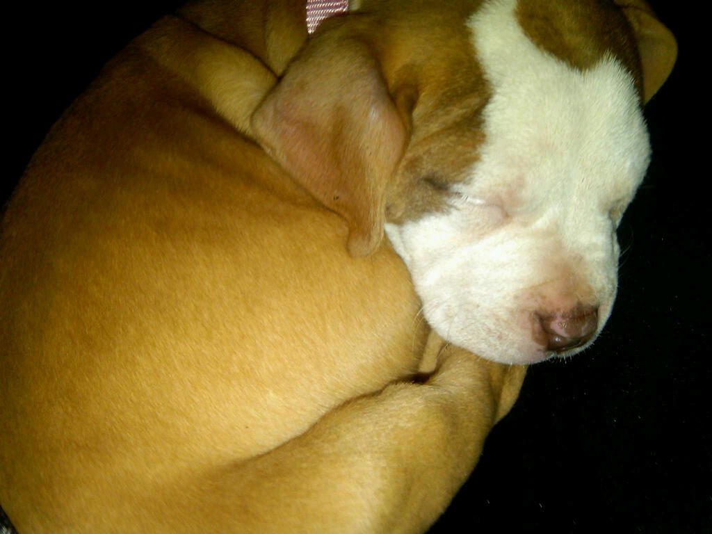 Mello111872's profile picture. 