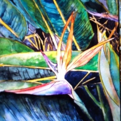 SKR987's profile picture. 