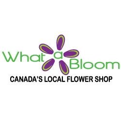 We send fresh Summer #flowers Vibrant Bouquets and Arrangements to Canada and Special Discount Coupon r available to all our FB:http://t.co/t5yXdIVxm4 Followers