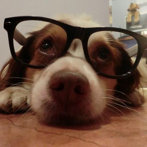 ¡¡¡ Me fastidian mucho todo tipo de injusticias... y que me quieran tomar el pelo!!!