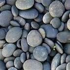 mrsbeu's profile picture. we are a mistake-making, idea-sharing, kind-caring community of learners where everyone matters.