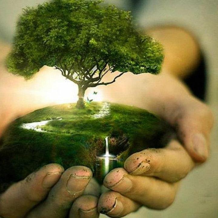 UnMundoExcelent's profile picture. Futuro ingeniero agronomo con esperanzas de un mundo mejor... La vida es mejor conviviendo con los demás.