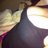 MRAM_1818's profile image