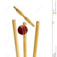 Cricket Queendom(@cricketqueendom) 's Twitter Profile Photo