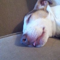 PG (@gretts26) 's Twitter Profile