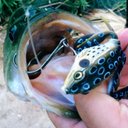 Ralph Ayala - @bigbassman1 - Twitter