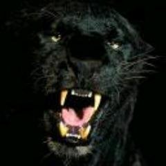 PeggyPe28172200's profile picture. 