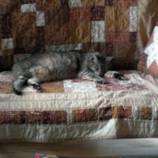 Where it's ALL Cat Approved!

And yes we do sell quilts & quilty things!