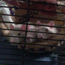 Joseph Fraley Jr - @JFPhilosophy - Twitter