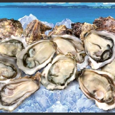 Chef, Master Oyster Shucker,Sushi, Eddie Oysters Stout Beer. Specialize on corporal event,catering,festival,private event.