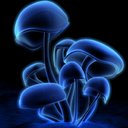 Landon Harris - @cynicalshroom - Twitter