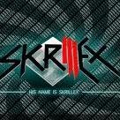fan de vegetta777 skater y otaku :3 sigueme y te sigo :3