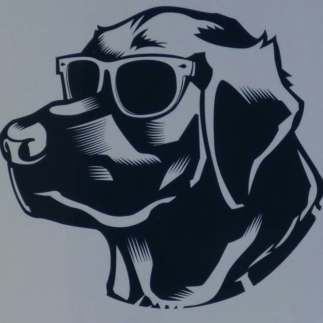 Find us on FB. http://t.co/4UMLj0F1QT #PaddleBoard #StandUpPaddling #Paddle #Dog