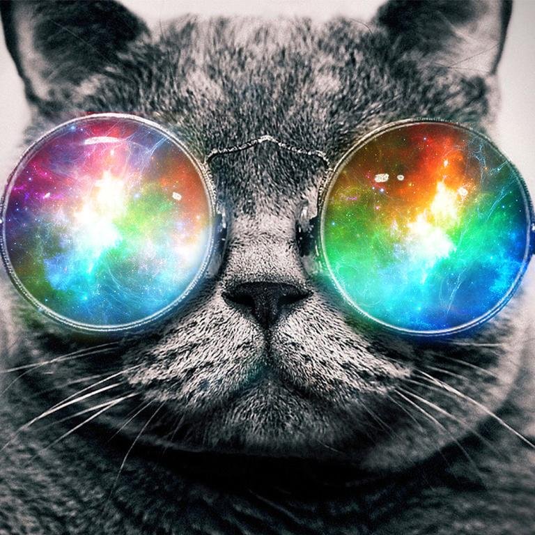 Anarchist & a bit punk, hippie, 18yo, philosopher, animal & nature lover, traveler, straightforward, open minded, doubting, rebellious.