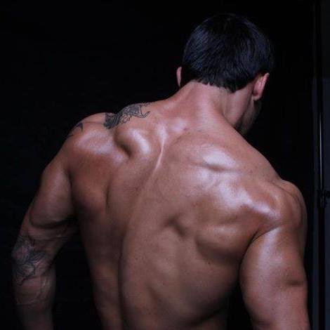 Nsm_muscu's profile picture. Programme de prise de masse complet de 12 semaines. 
 http://t.co/O6IGeR78Zs