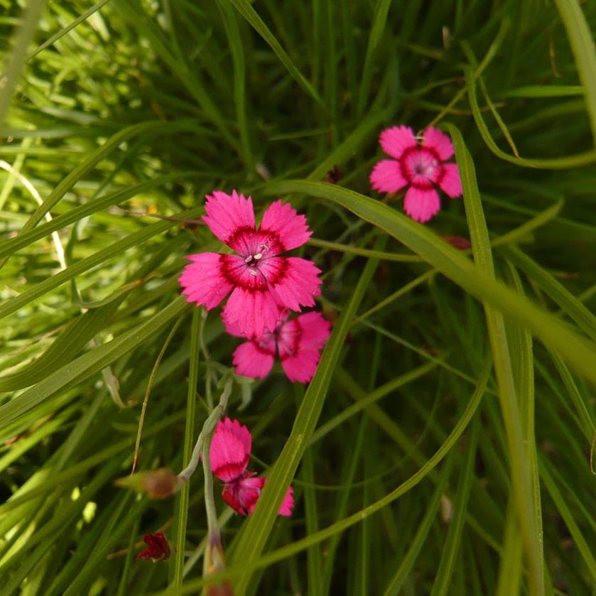 123456Hadisa's profile picture. 123