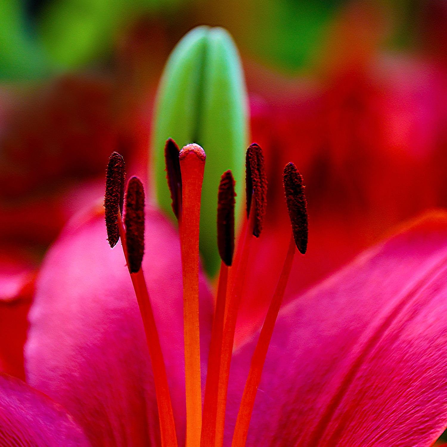 Learn from yesterday, Live for today, Hope for tomorrow