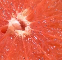 in19830224's profile picture. 1집. 초고. ad lib. 스케치.                                       정제되지 않은 감정을 사랑합니다.                                  .. 그게 독이라는 것도 알고 있어요,