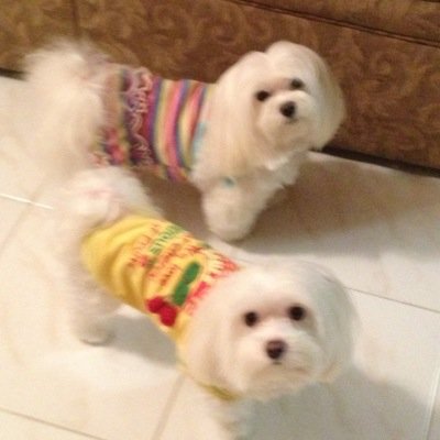 MaritzaMaciasB's profile picture. 