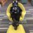 Mosdogg's profile image