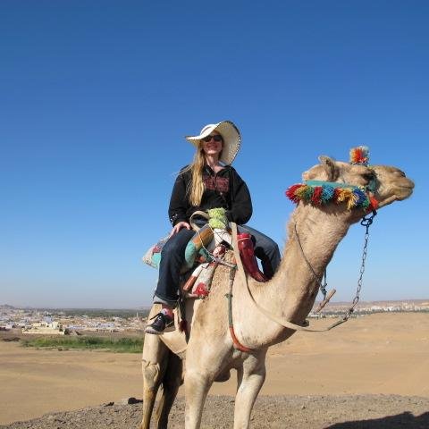 RachSoderberg's profile picture. I'm a Software Developer who loves working with C#.NET and Salesforce. In my free time I lift weights, do martial arts, and play video games.