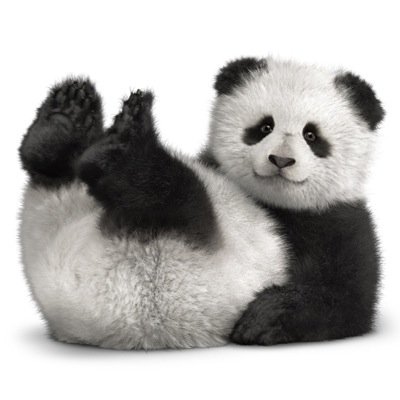 KELCOMShavonn's profile picture. 