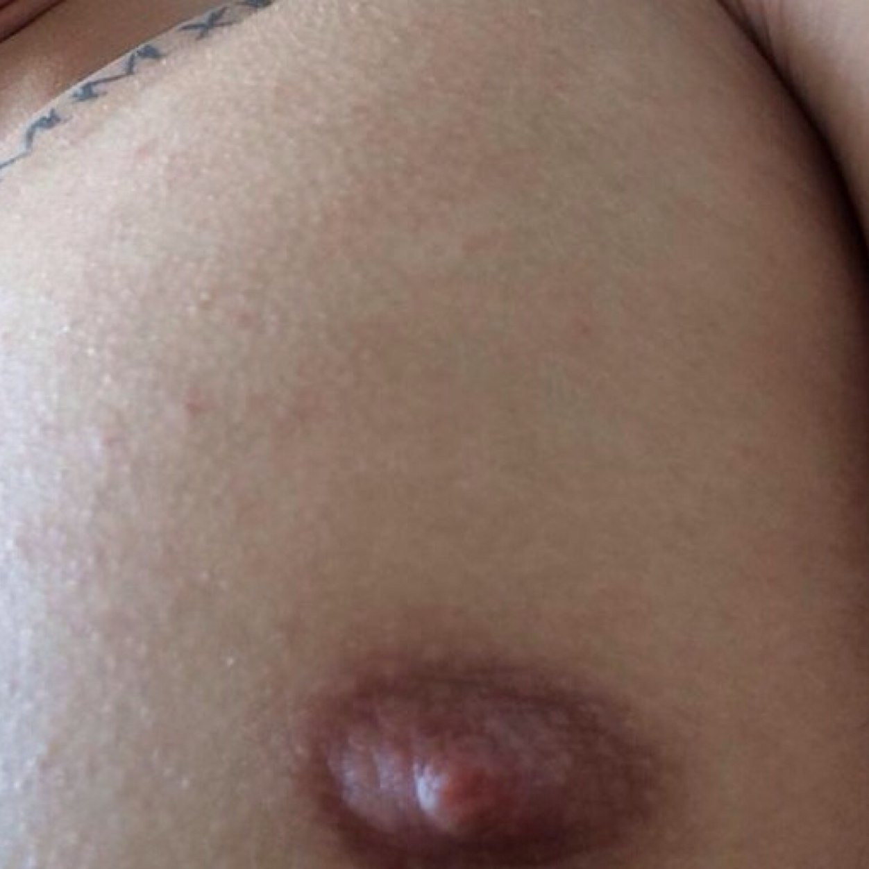 An account purely dedicated to the wonderous nipples of 4 australian dorks.