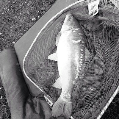 carpnmatch's profile picture. 