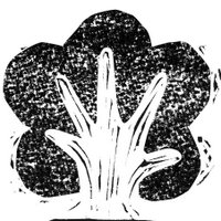 Sponge Tree (@spongetree1) 's Twitter Profile