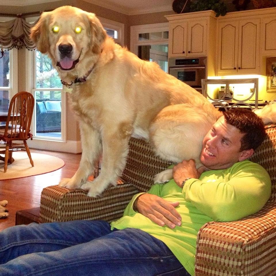 Golf, FSU, IT Sales guy