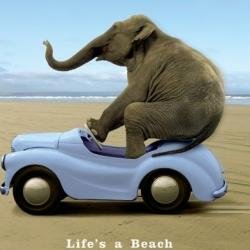 _Tib0's profile picture. Mistakes make me Human
Failure make me Stronger
Love make me Alive