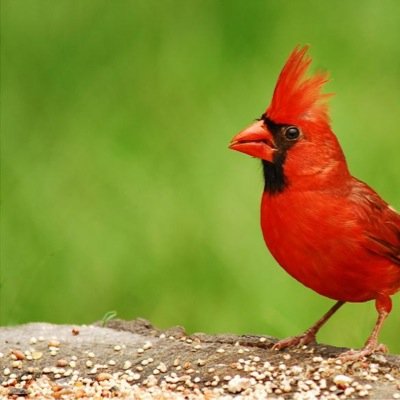 eatfitbemerry's profile picture. 