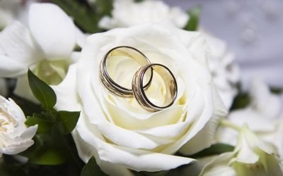 Weddings and Events in Yorkshire. Currently writing a book about planning your wedding. http://t.co/zrtJZGkUZC